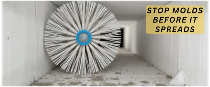 Air Duct Mold Removal in Burbank CA