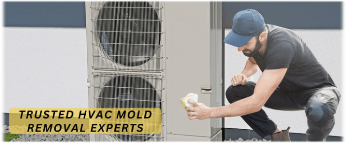 HVAC Mold Removal Burbank CA